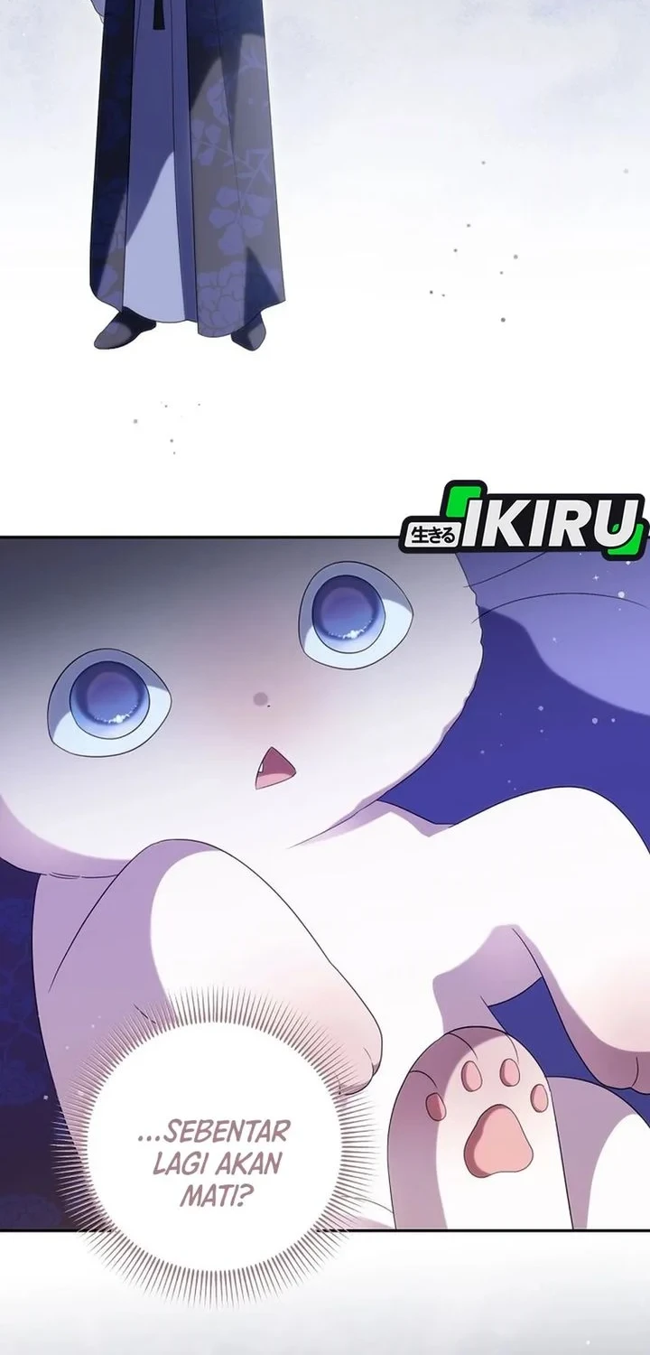 Manhwa A Baby Cat Who Commands the Dog Clan Chapter 24 gambar 2