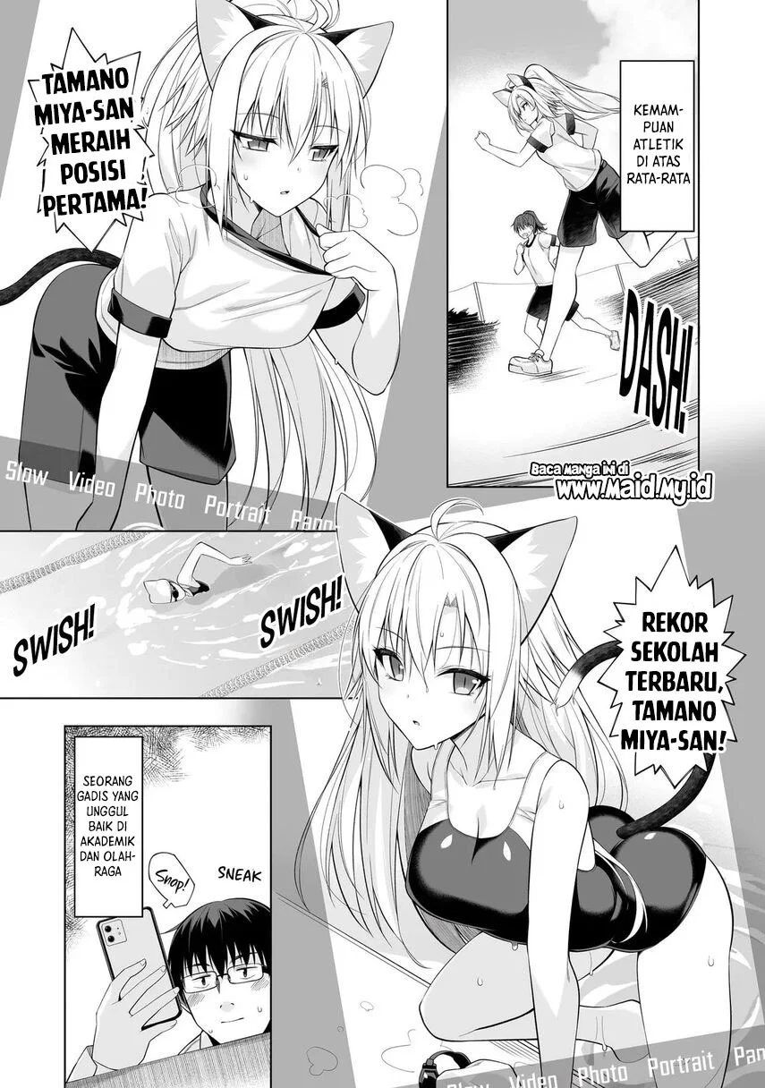 Anata wa Watashi no Geboku desu – Neko to Geboku no Himitsu no Kankei Chapter 1 - Halaman 6