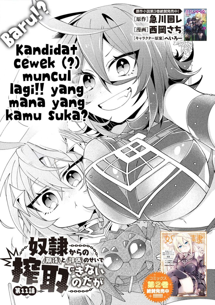 Manga Dorei kara no Kitai to Hyouka no sei de Sakushu dekinai no daga Chapter 11 gambar 2