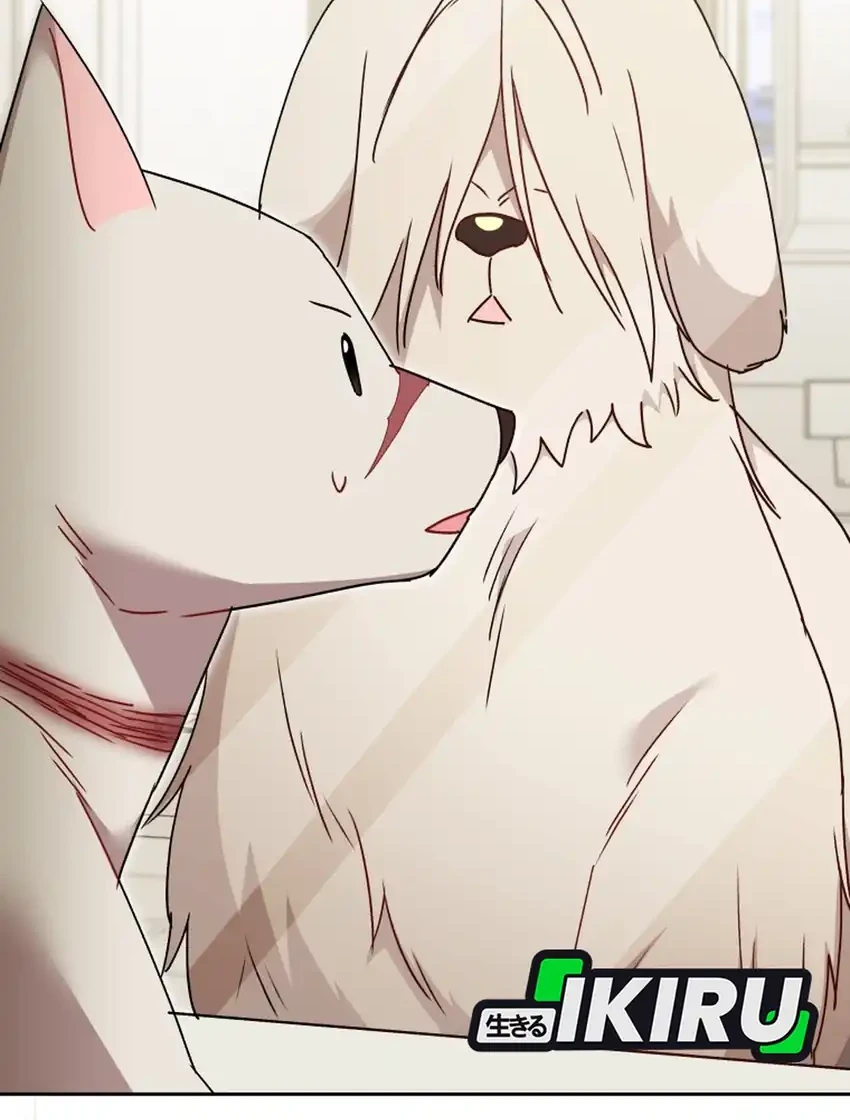 Manhwa Hello? Veterinarian! Chapter 116 gambar 2