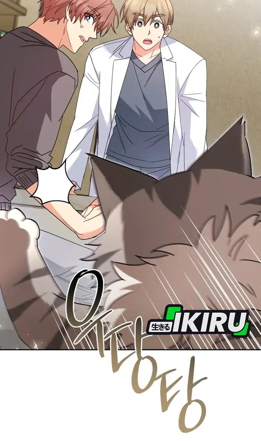 Manhwa Hello? Veterinarian! Chapter 117 gambar 2