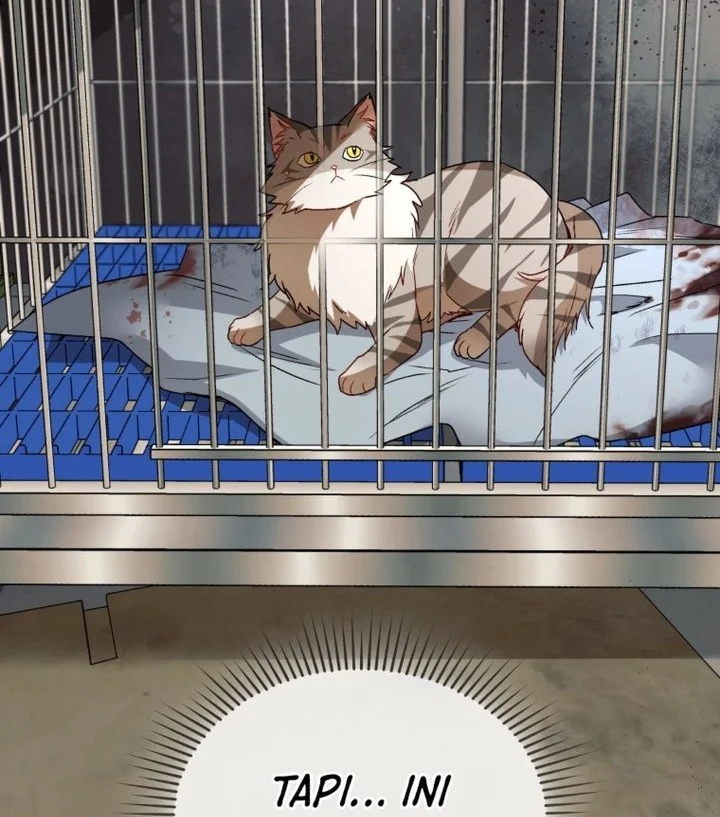 Hello? Veterinarian! Chapter 146 Gambar 4