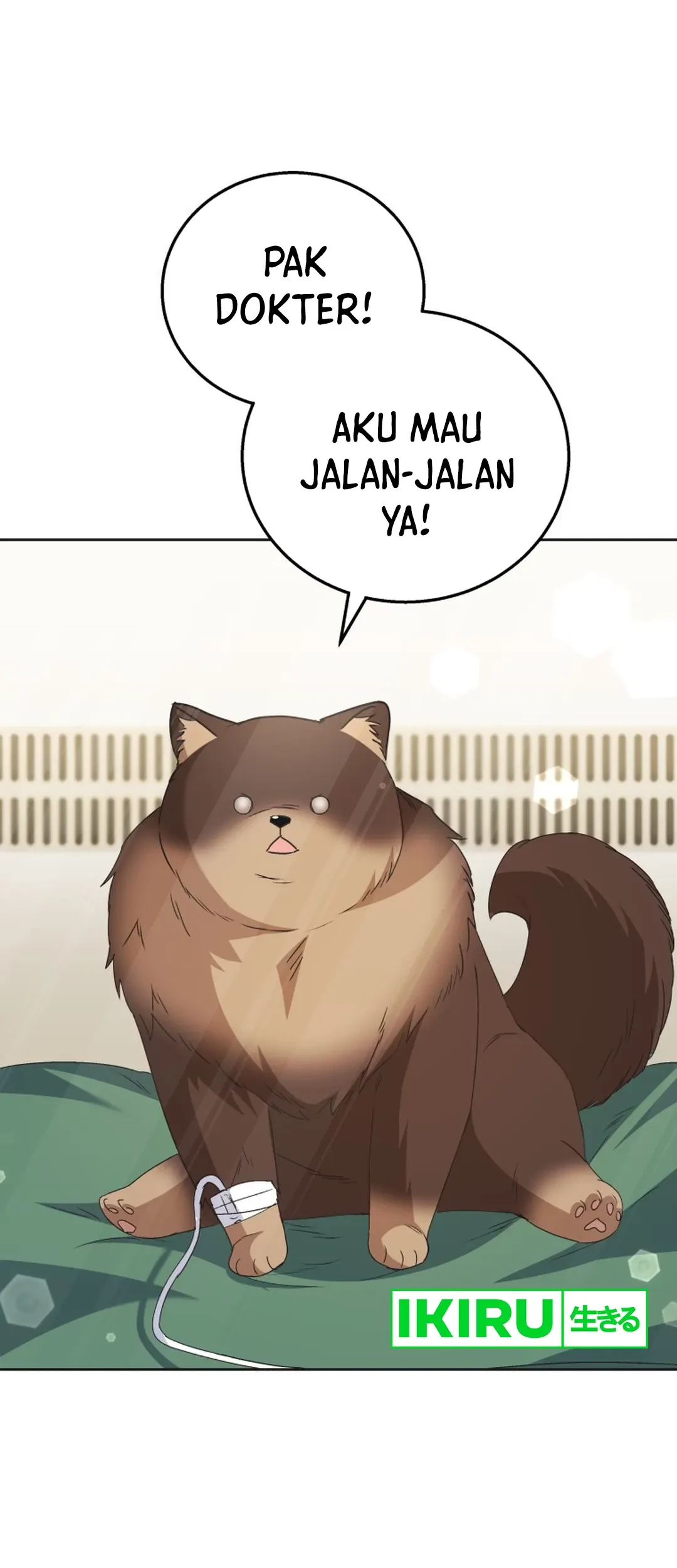 Manhwa Hello? Veterinarian! Chapter 91 gambar 2