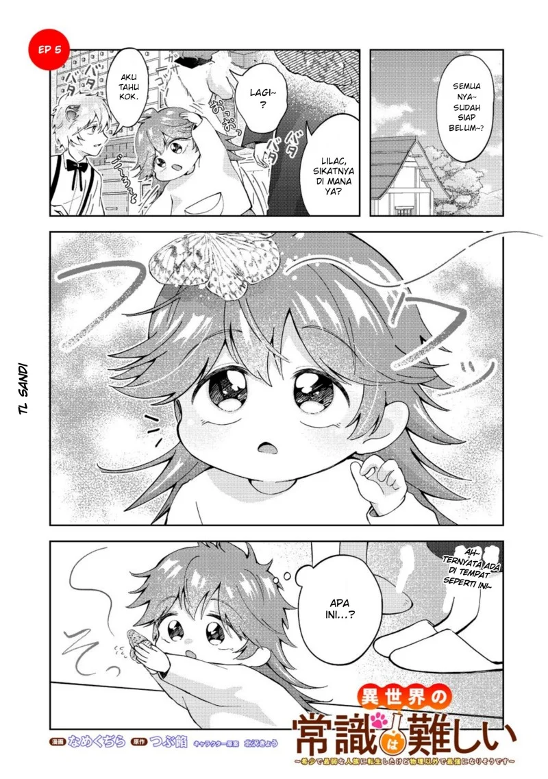 Komik Isekai no Joushiki wa Muzukashii: Kishou de Saijaku na Hitozoku ni Tensei Shita Kedo Butsuri Igai de Saikyou ni Nari Sou Desu Chapter 5.1 gambar 1