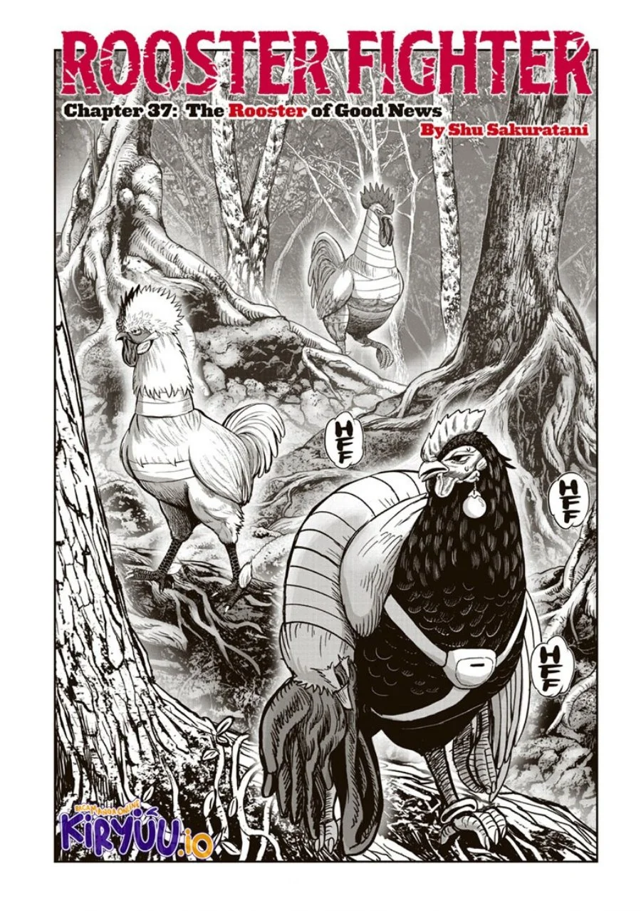 Manga Rooster Fighter Chapter 37 gambar 2
