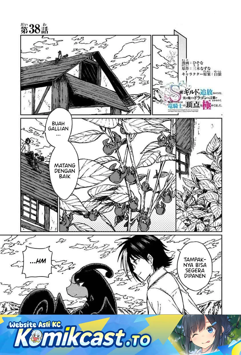 Komik S-kyuu Guild wo Tsuihou saretakedo, Jitsu wa Ore dake Dragon no Kotoba ga Wakaru no de, Kidzuita Toki ni wa Ryuu Kishi no Chouten wo Kiwametemashita Chapter 38 gambar 1