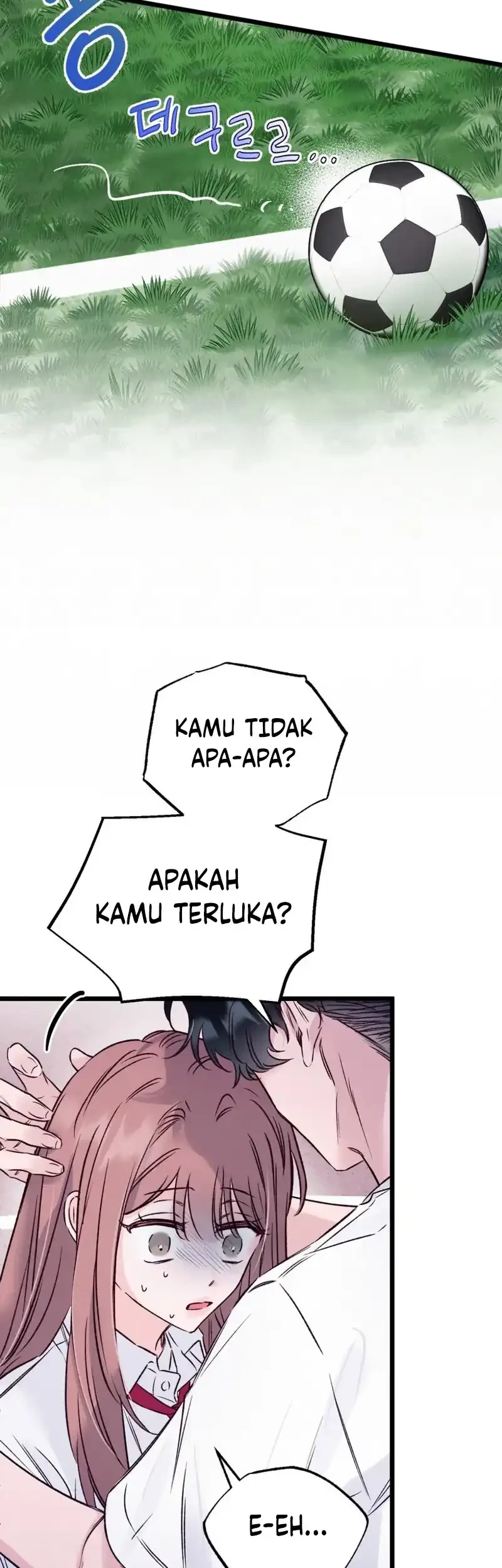 The Beauty of Class 8 Chapter 11 Gambar 3