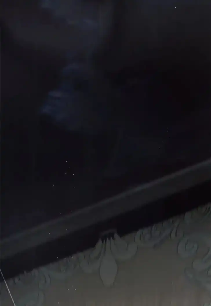The Count’s Secret Maid Chapter 2 - Halaman 4