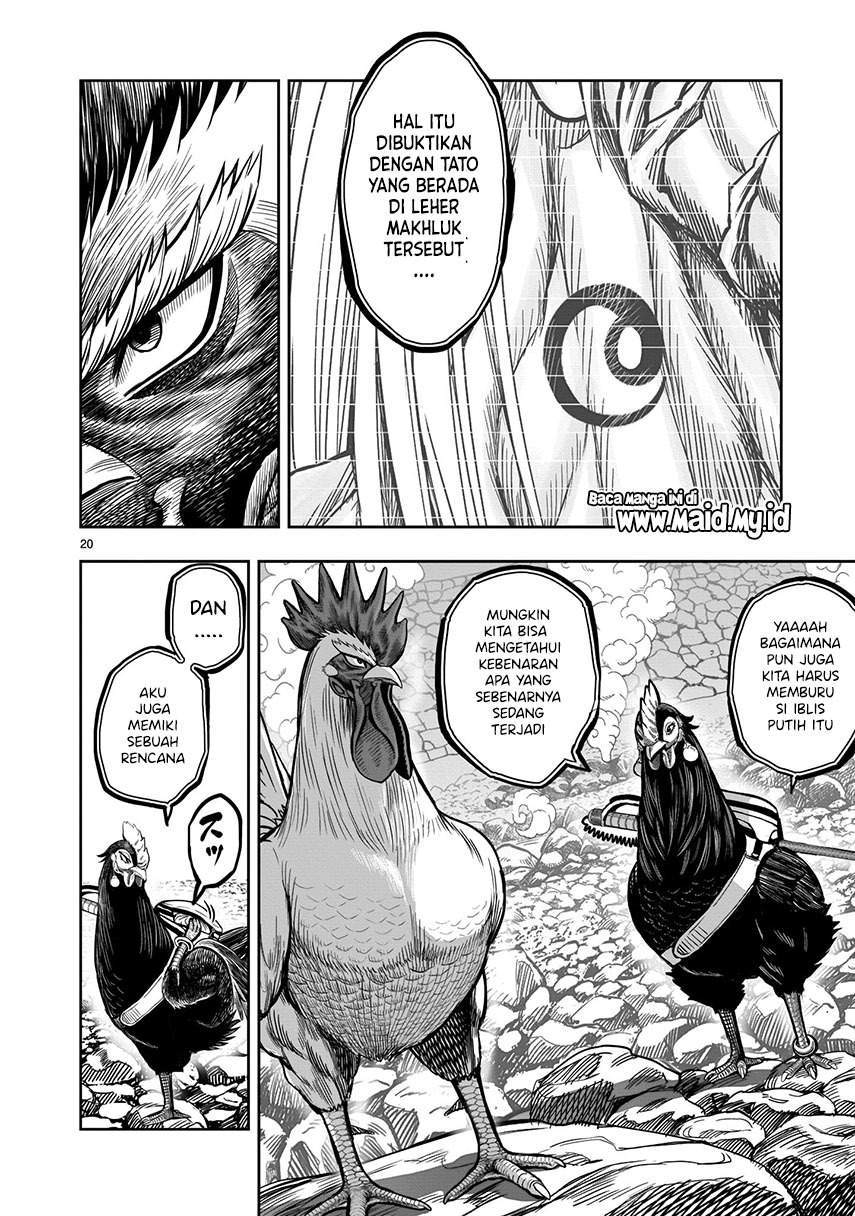 Rooster Fighter Chapter 8 - Halaman 22