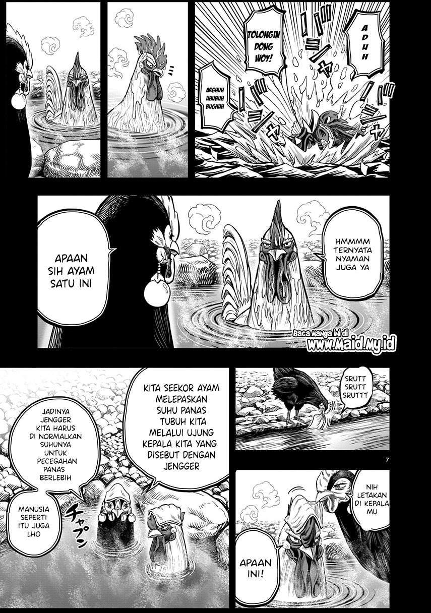 Rooster Fighter Chapter 8 - Halaman 9