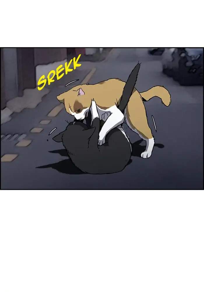 Manhwa Wind Breaker Chapter 237 gambar 2