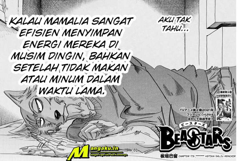 Beastars Chapter 173 - Halaman 2