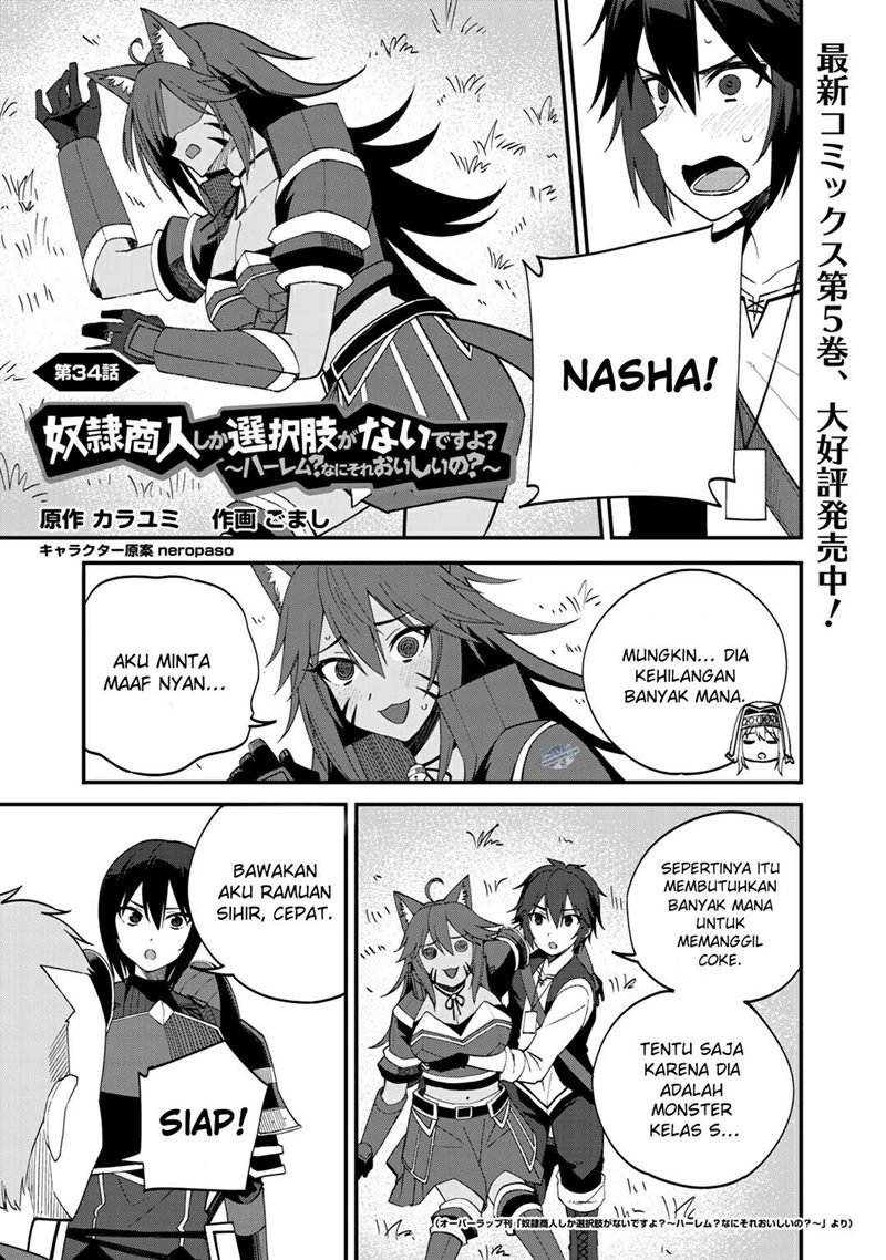 Manga Dorei Shounin shika Sentakushi ga nai desu yo? ~Harem? Nani sore oishii no?~ Chapter 34 gambar 2