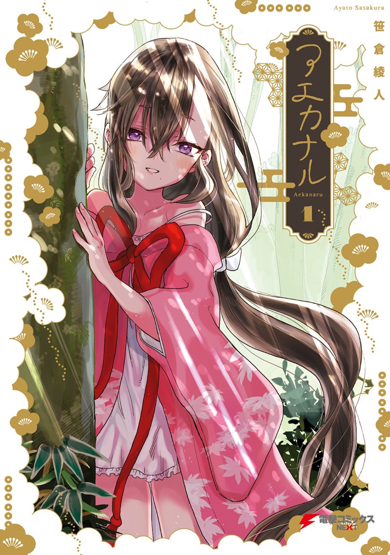 Aekanaru Chapter 01 - Halaman 4