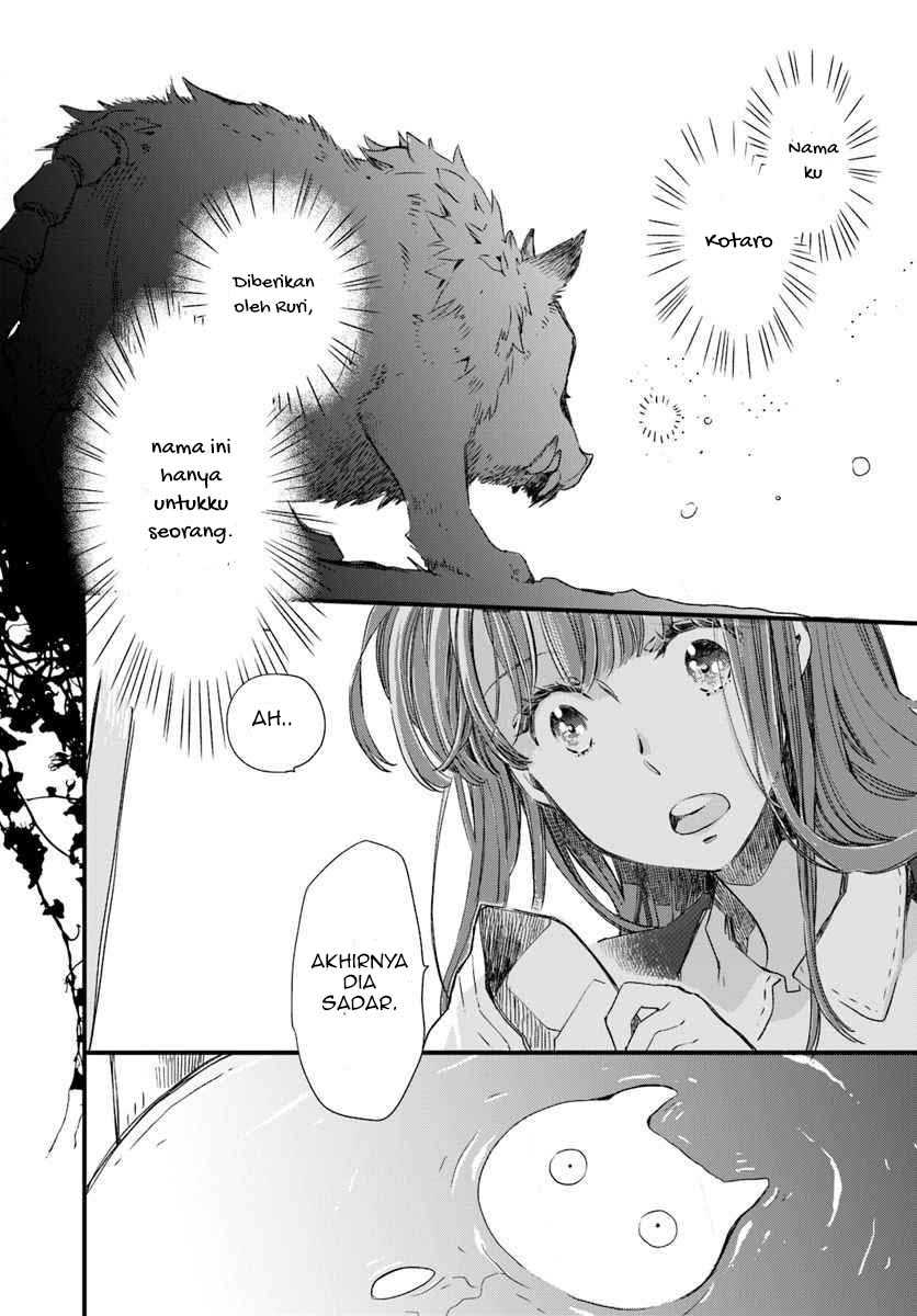 A Vengeful White Cat Lounges Around on the Dragon King’s Lap Chapter 15 - Halaman 11