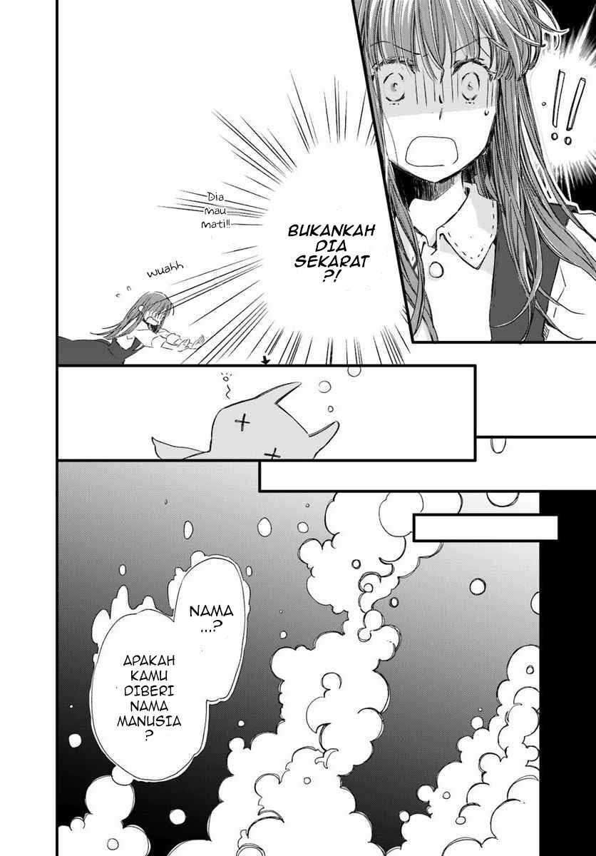 A Vengeful White Cat Lounges Around on the Dragon King’s Lap Chapter 15 - Halaman 9