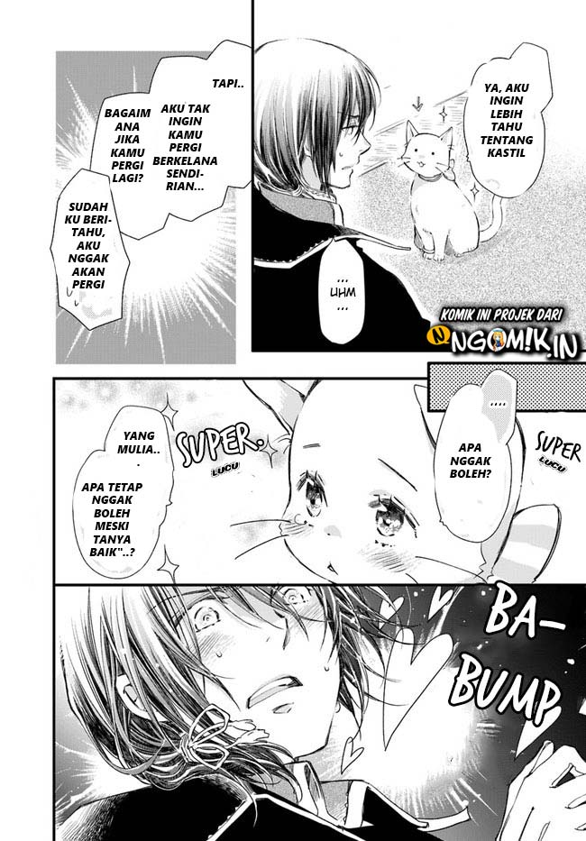 A Vengeful White Cat Lounges Around on the Dragon King’s Lap Chapter 14 - Halaman 19