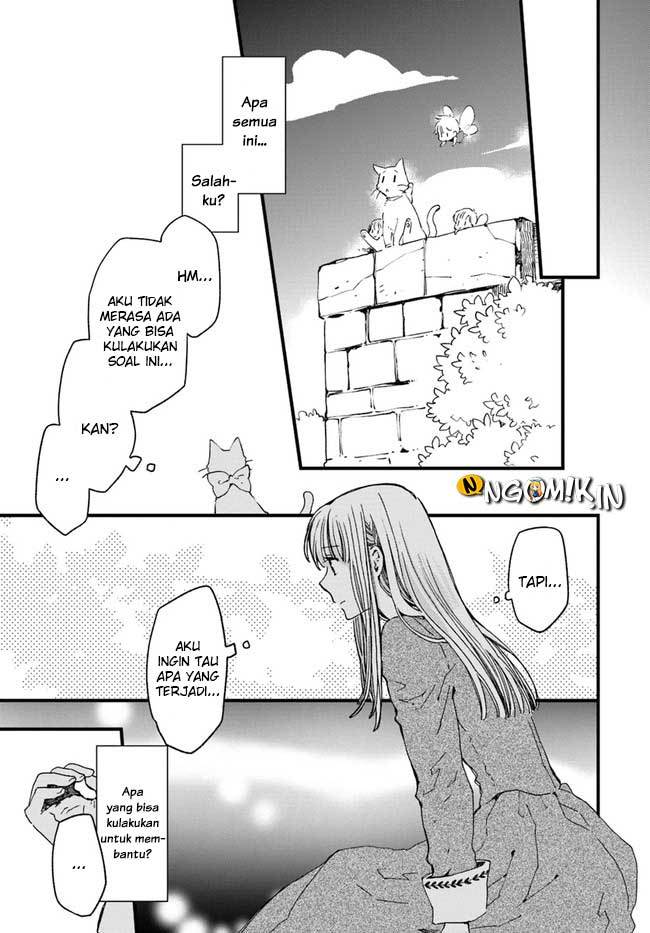 A Vengeful White Cat Lounges Around on the Dragon King’s Lap Chapter 11 - Halaman 14