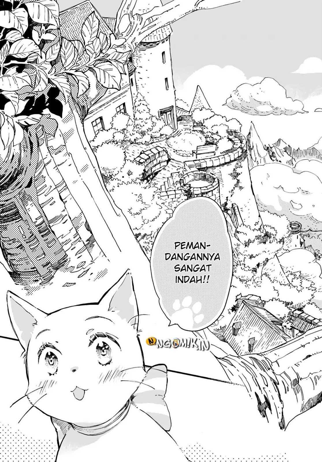 A Vengeful White Cat Lounges Around on the Dragon King’s Lap Chapter 09 - Halaman 25