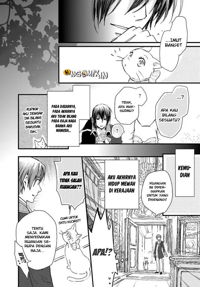 A Vengeful White Cat Lounges Around on the Dragon King’s Lap Chapter 08 - Halaman 12