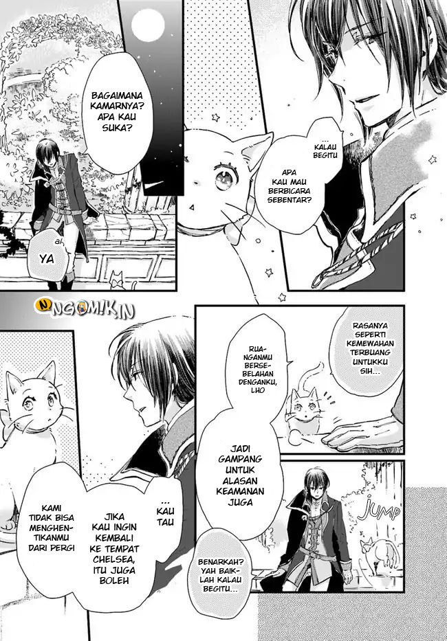 A Vengeful White Cat Lounges Around on the Dragon King’s Lap Chapter 08 - Halaman 19