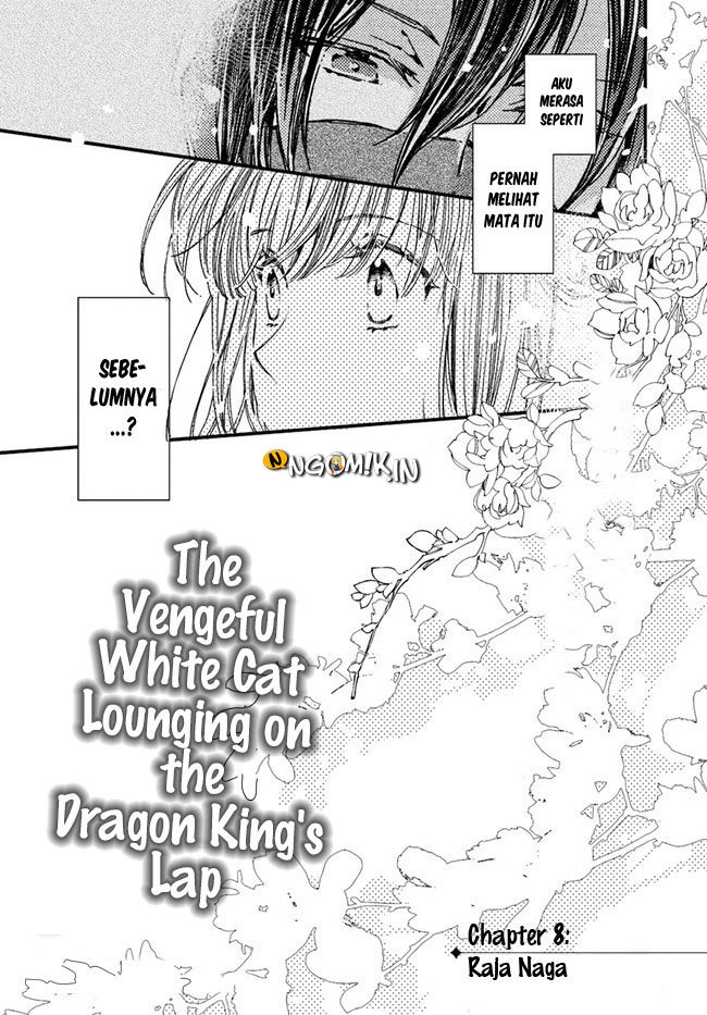 A Vengeful White Cat Lounges Around on the Dragon King’s Lap Chapter 08 - Halaman 5