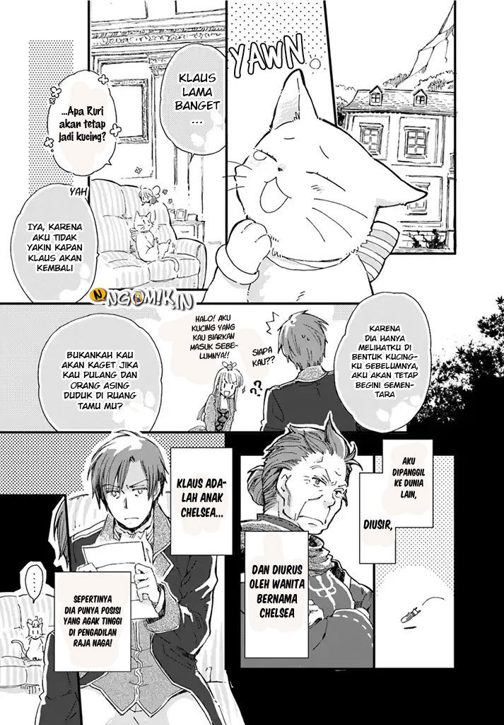 A Vengeful White Cat Lounges Around on the Dragon King’s Lap Chapter 07 - Halaman 4