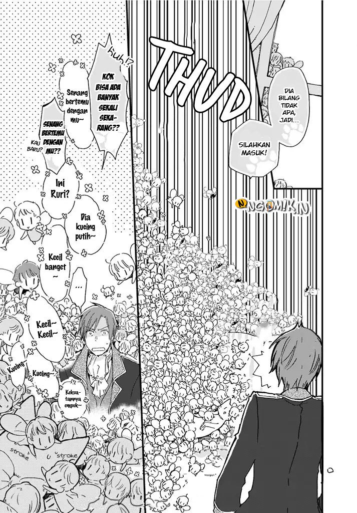 A Vengeful White Cat Lounges Around on the Dragon King’s Lap Chapter 07 - Halaman 6