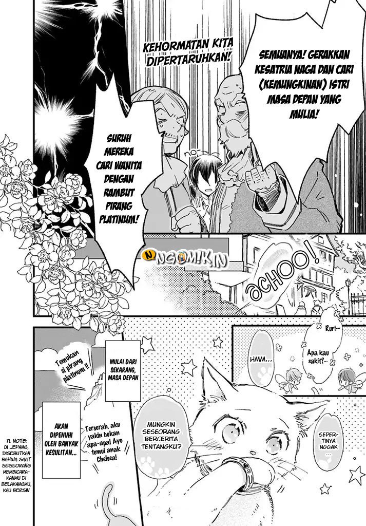 A Vengeful White Cat Lounges Around on the Dragon King’s Lap Chapter 06 - Halaman 29