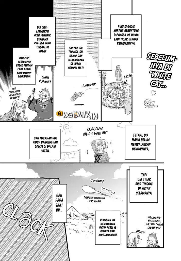 A Vengeful White Cat Lounges Around on the Dragon King’s Lap Chapter 06 - Halaman 3