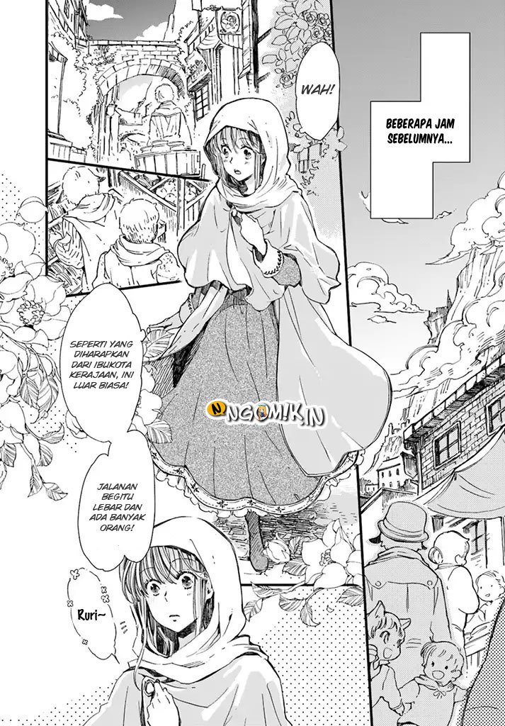 A Vengeful White Cat Lounges Around on the Dragon King’s Lap Chapter 06 - Halaman 6