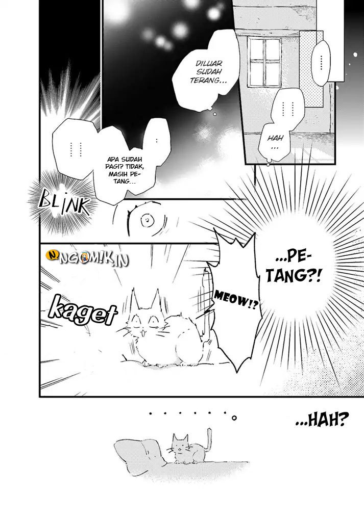 A Vengeful White Cat Lounges Around on the Dragon King’s Lap Chapter 05 - Halaman 18