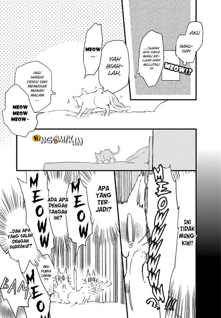 A Vengeful White Cat Lounges Around on the Dragon King’s Lap Chapter 05 - Halaman 19