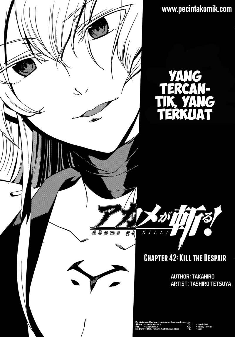 Akame ga Kill! Chapter 43 - Halaman 4