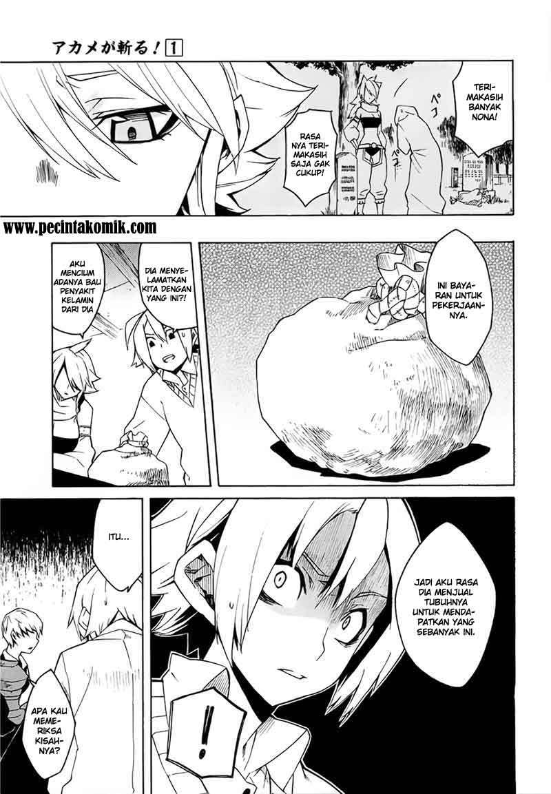 Akame ga Kill! Chapter 3 - Halaman 14