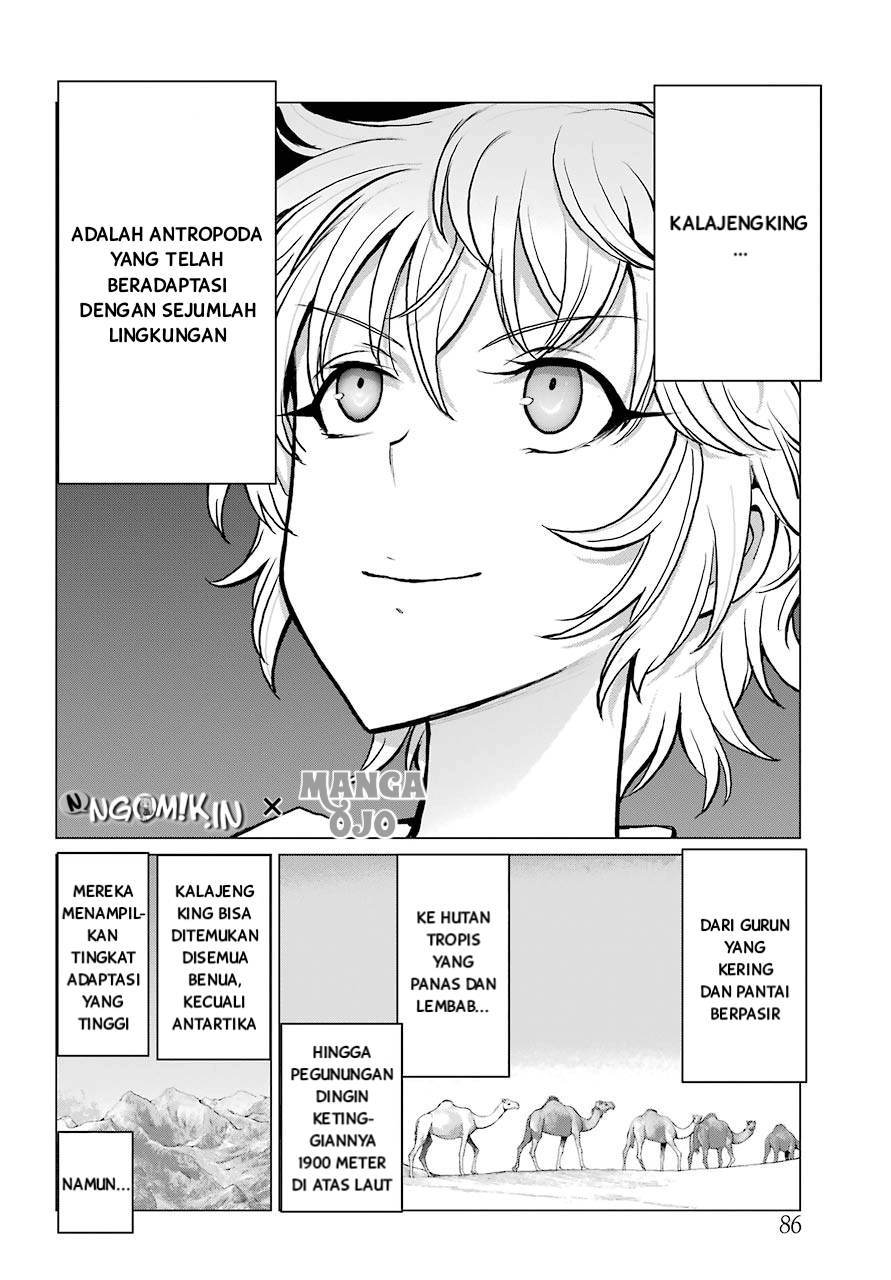 Blattodea Chapter 3 - Halaman 22