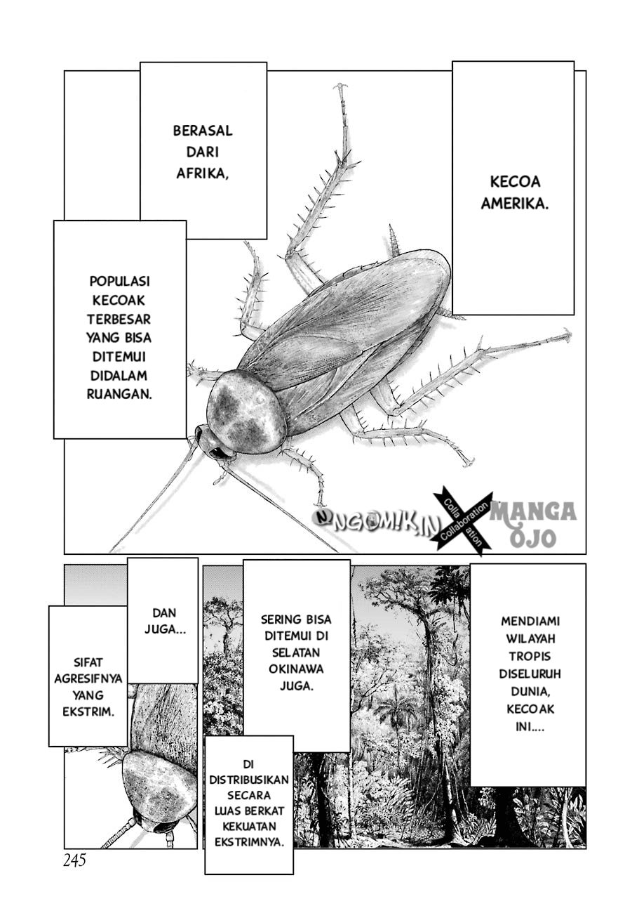 Blattodea Chapter 2 - Halaman 15