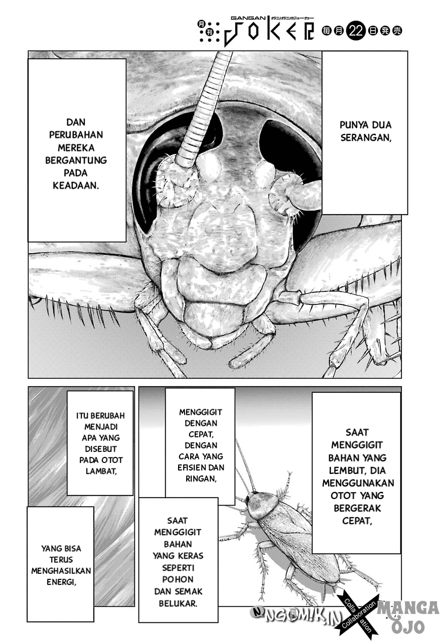Blattodea Chapter 2 - Halaman 27