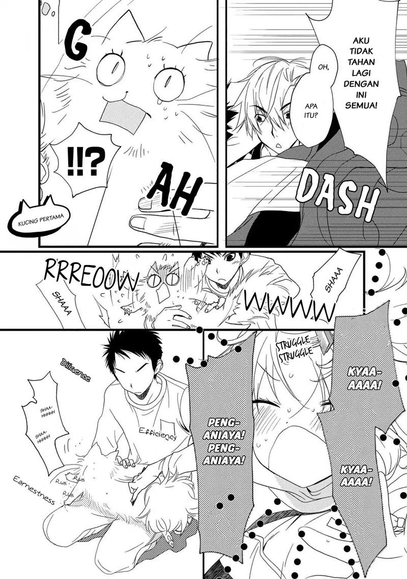 Coffee & Cat Chapter 2 - Halaman 5