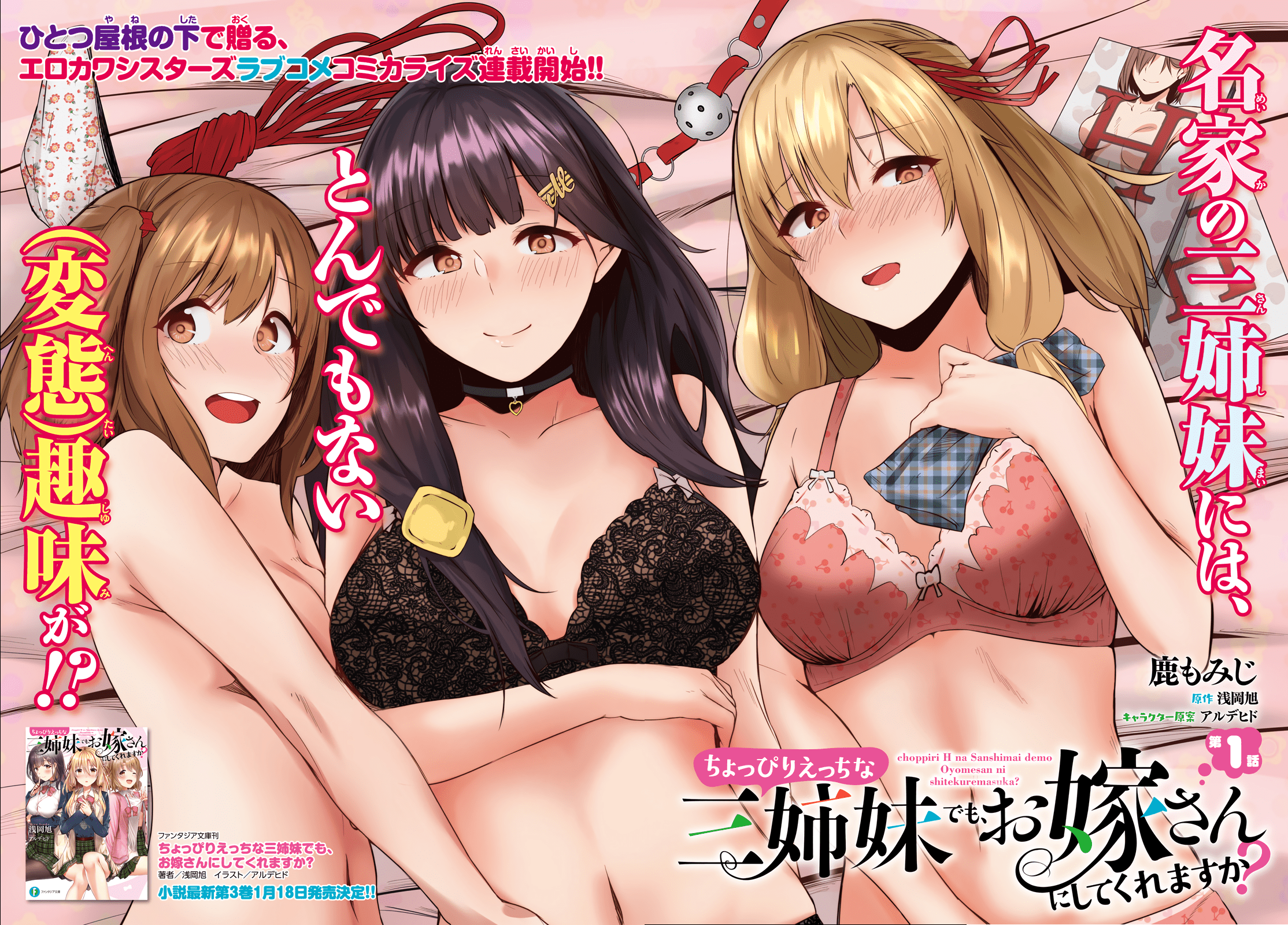 Could You Turn Three Perverted Sisters Into Fine Brides? Chapter 1 - Halaman 3