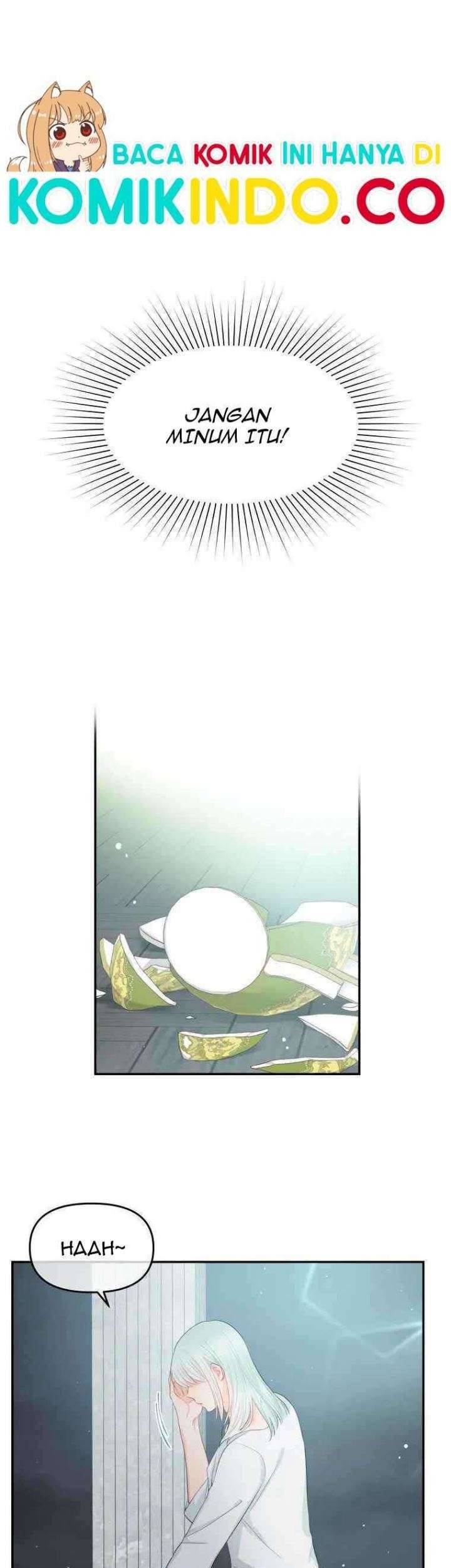 Manhwa Don’t Concern Yourself With That Book Chapter 17 gambar 2