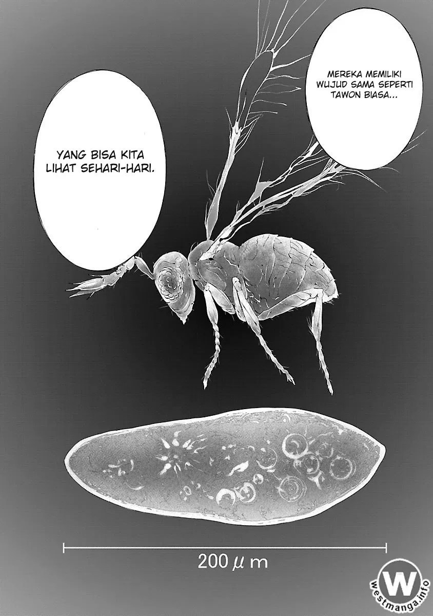 Himenospia Chapter 02 - Halaman 5