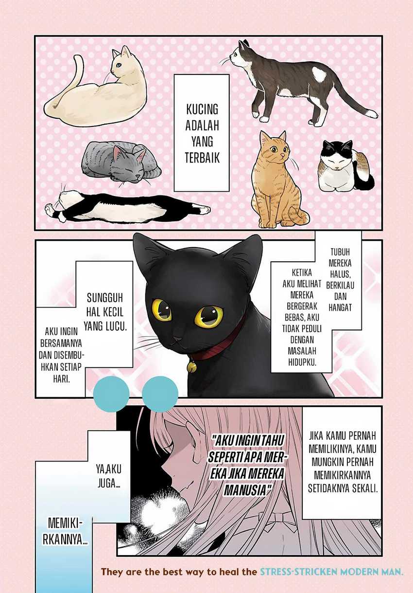 Manga Mi-chan wa Kawaretai Chapter 01 gambar 2