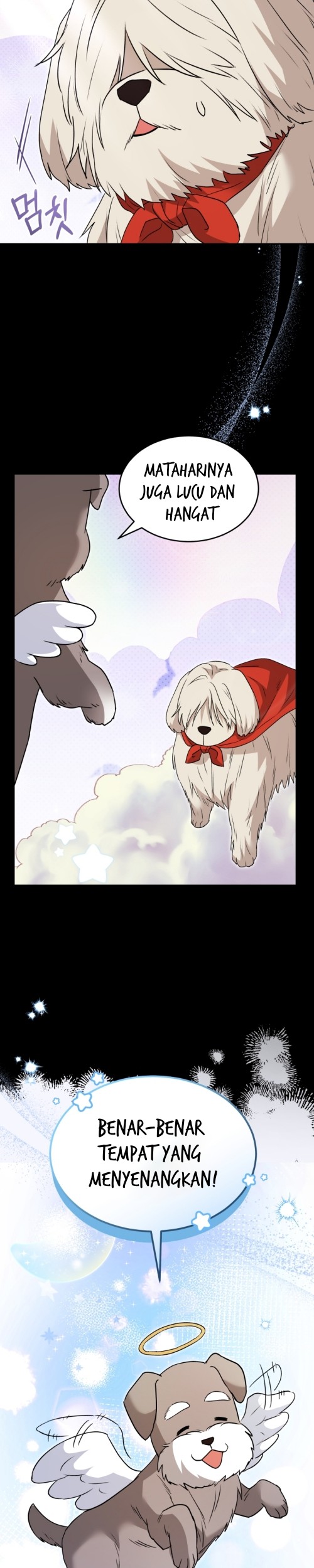 Hello? Veterinarian! Chapter 48 - Halaman 31