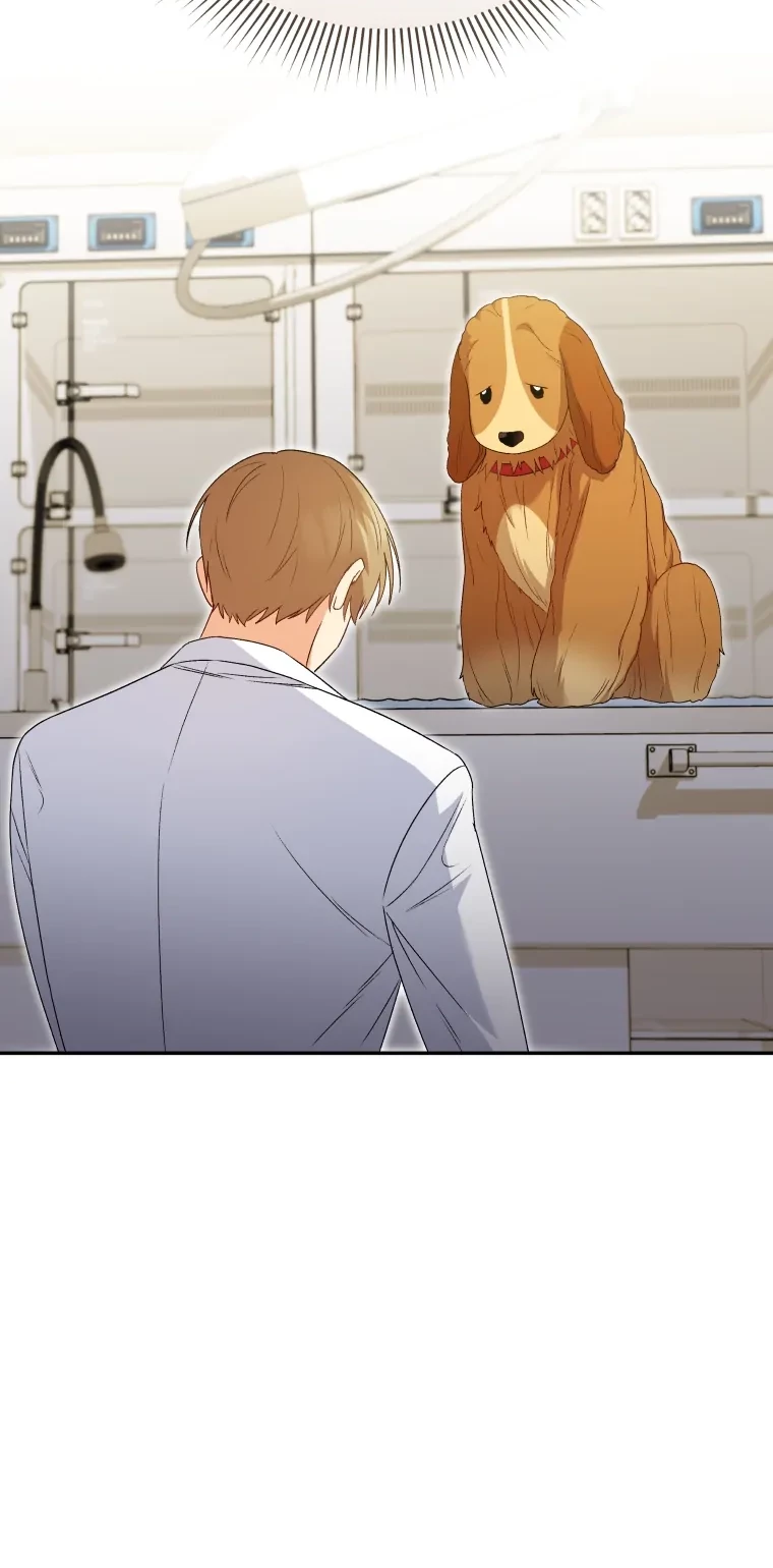 Hello? Veterinarian! Chapter 43 - Halaman 28