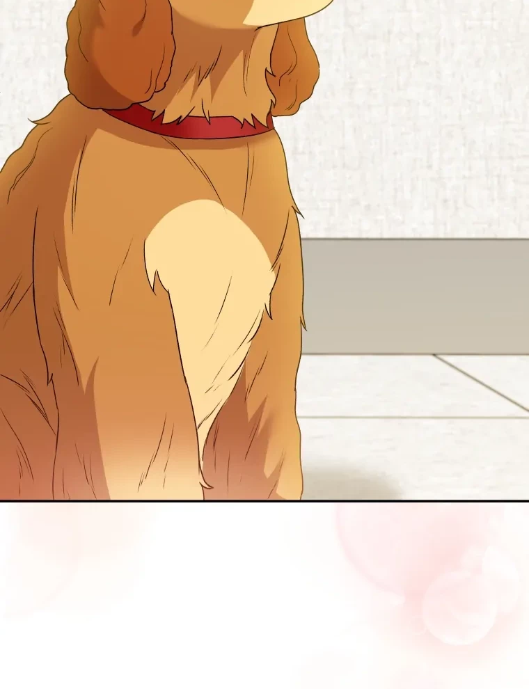 Hello? Veterinarian! Chapter 42 - Halaman 34