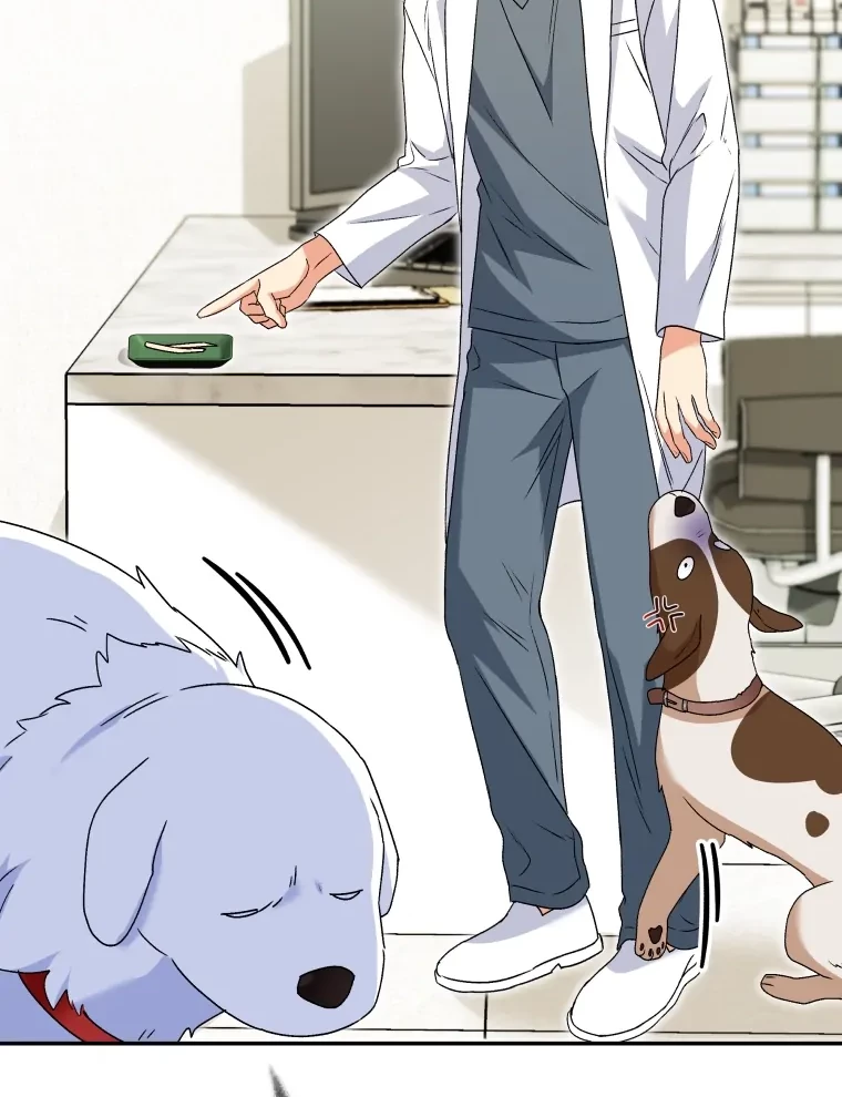 Hello? Veterinarian! Chapter 41 - Halaman 48