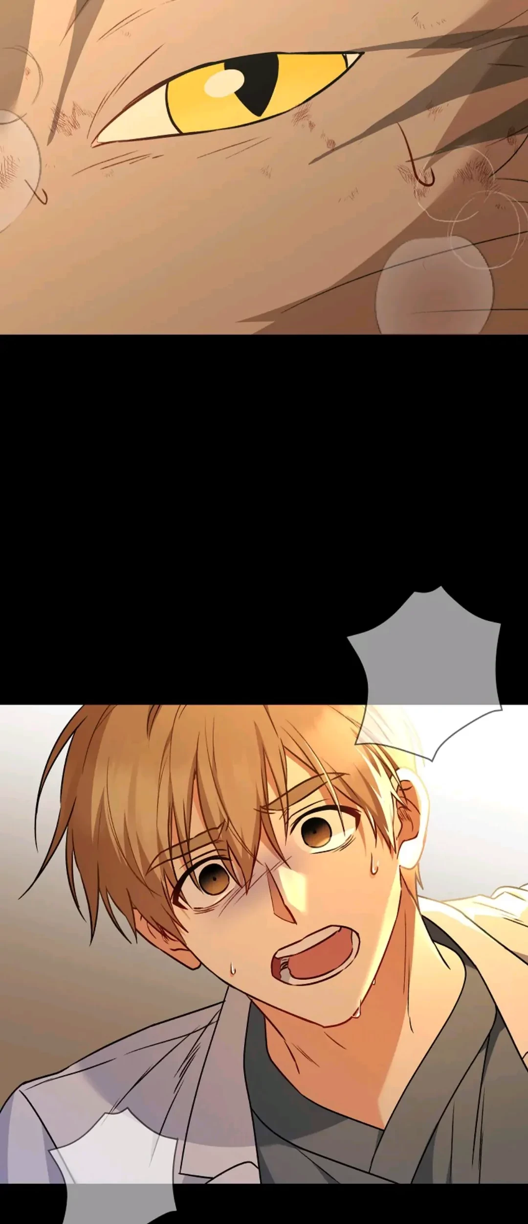 Hello? Veterinarian! Chapter 35 - Halaman 48