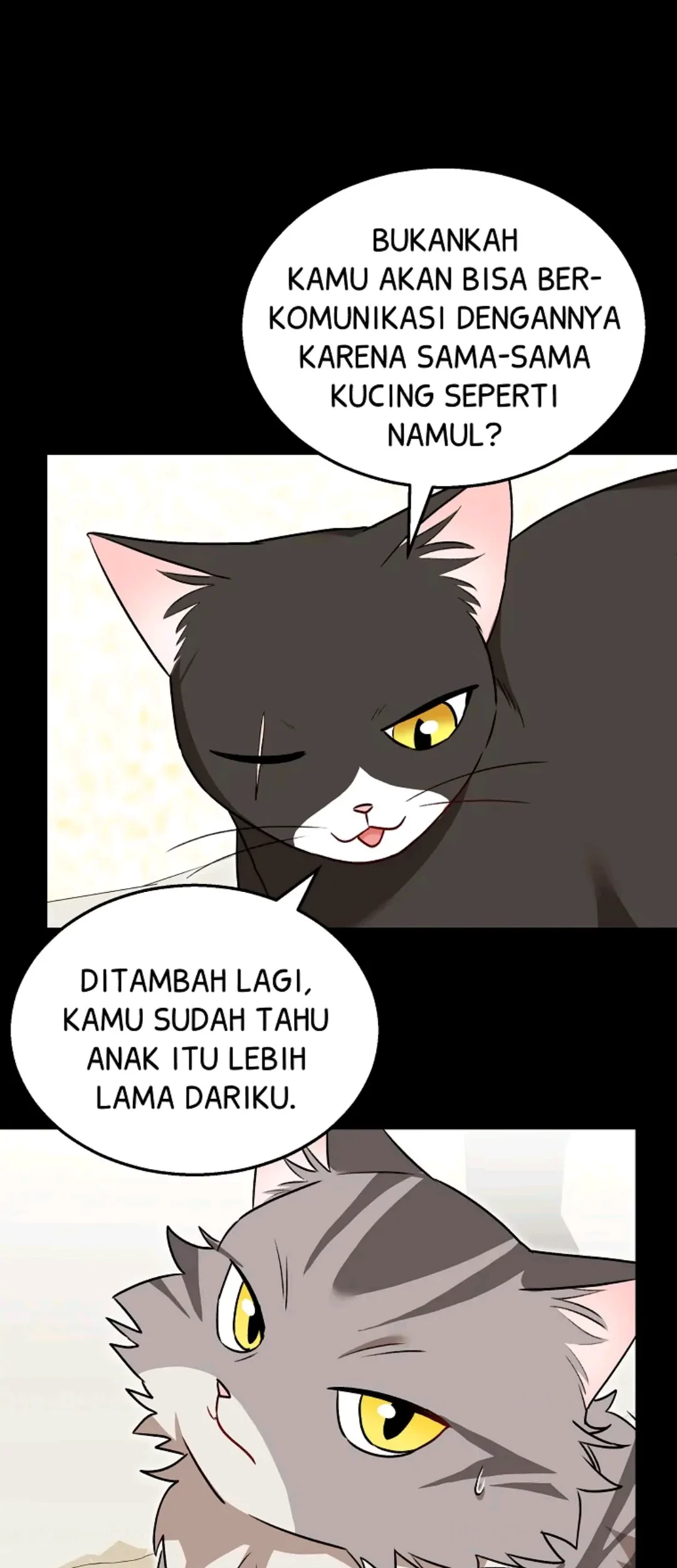 Hello? Veterinarian! Chapter 35 - Halaman 15