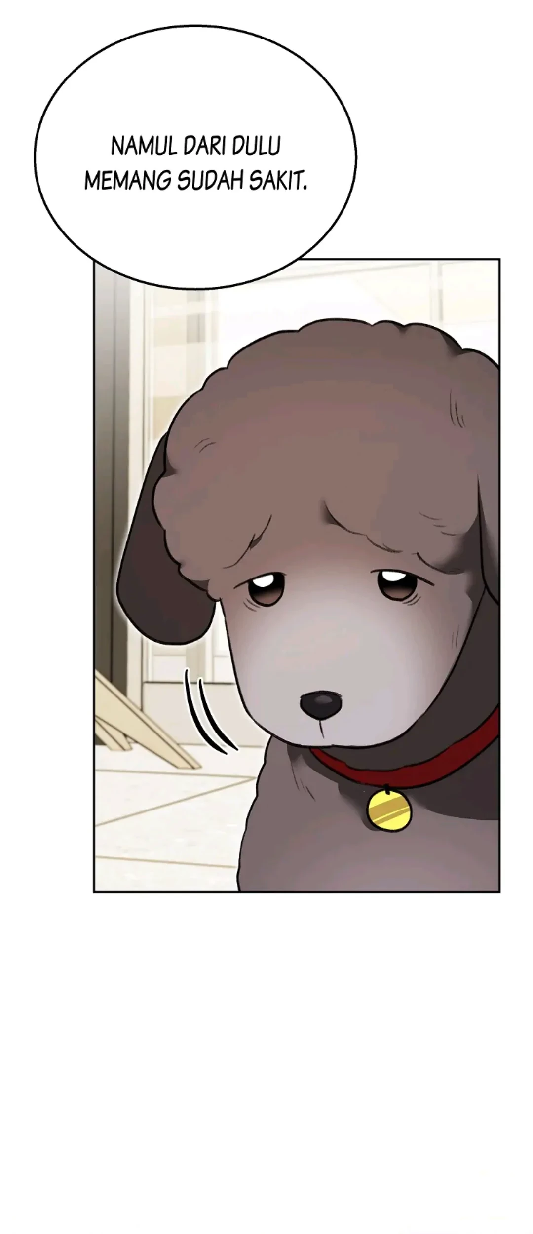 Hello? Veterinarian! Chapter 34 - Halaman 12
